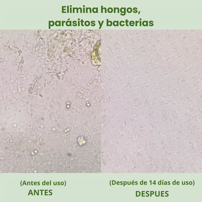 Alimora OregaMix: Aceite de orégano medicinal